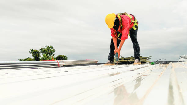 Best Gutter Installation and Repair  in Camp Swift, TX