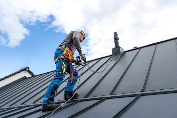 Best Roof Insulation Installation  in Camp Swift, TX